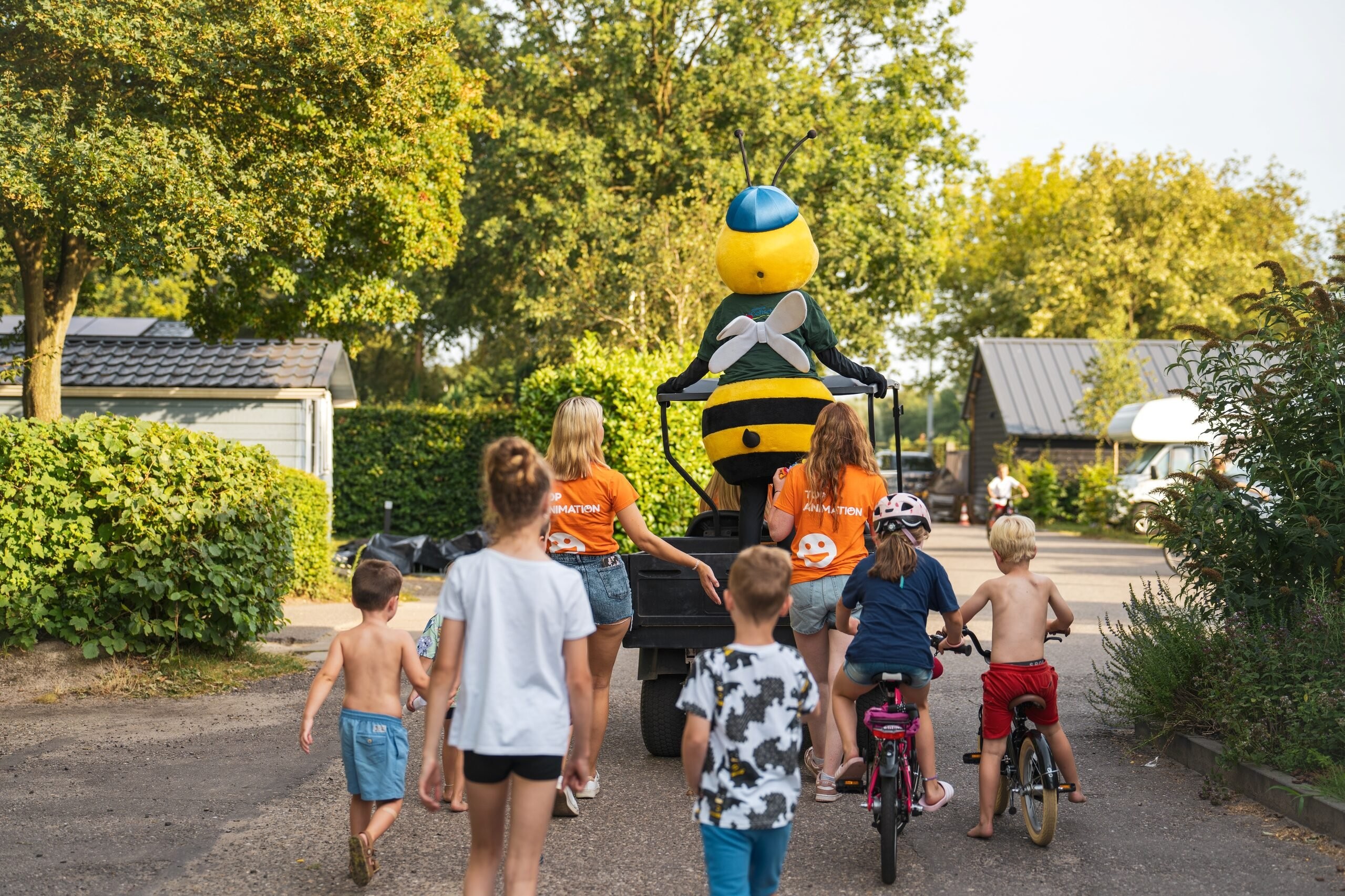Delfste hout 240806 alyssa van heyst 24