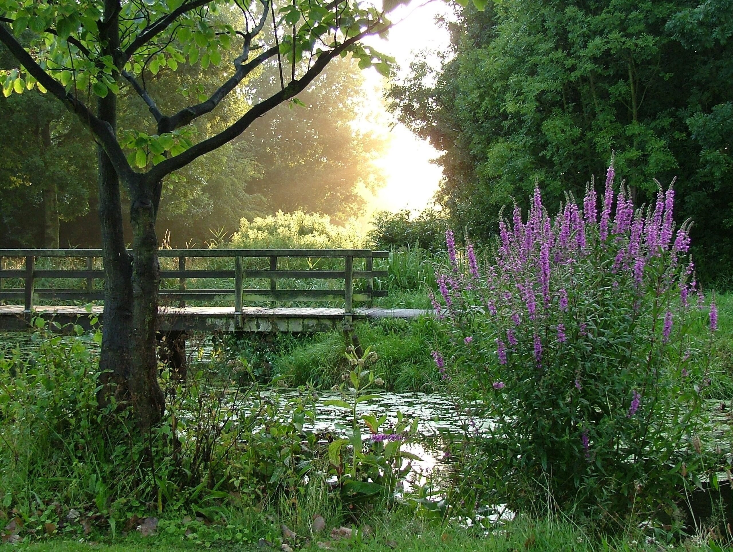 Per fiets of te voet