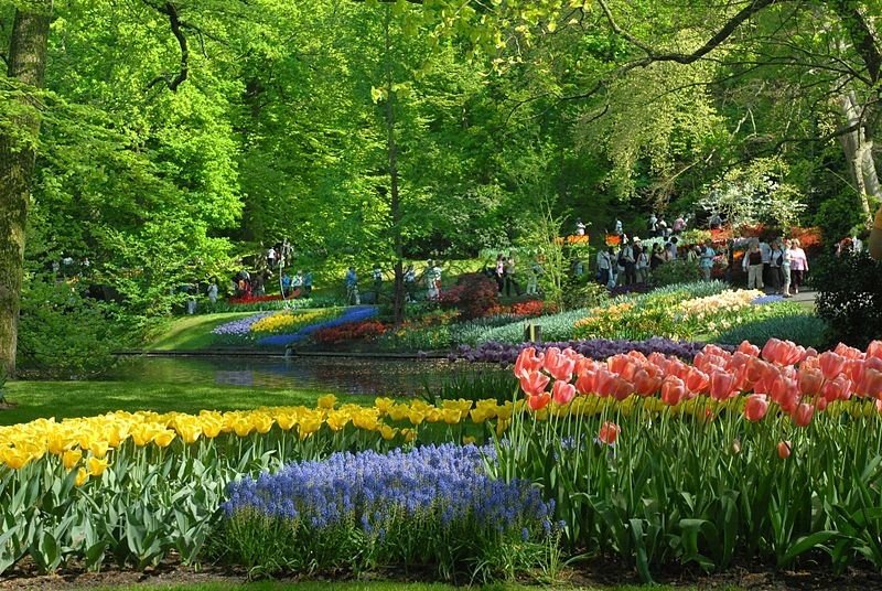 Keukenhof bij delftse hout