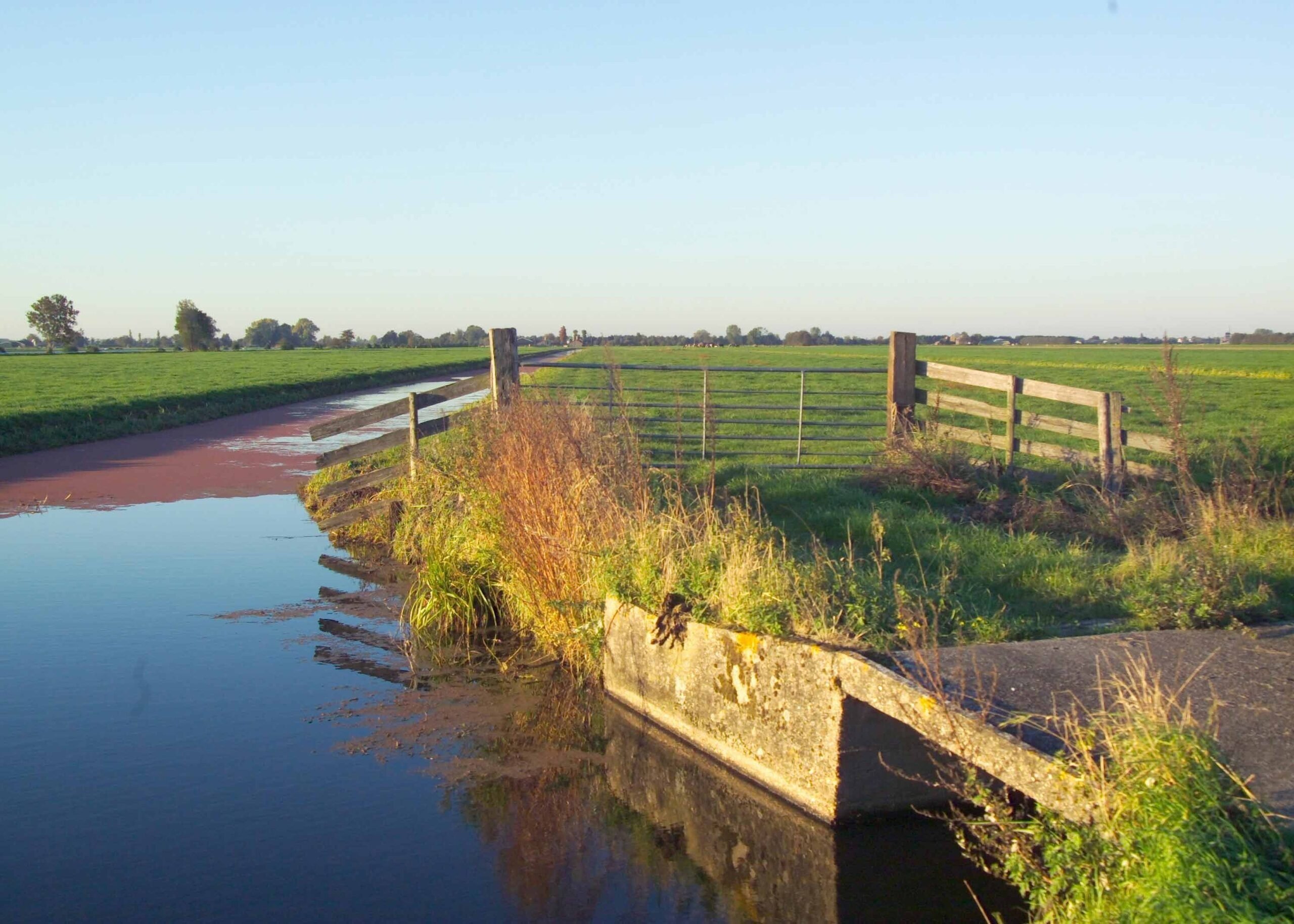 Midden Delfland
