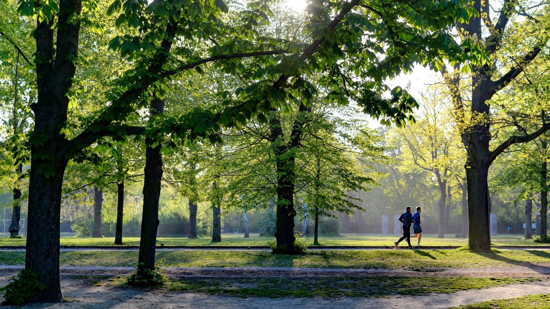 Commencez votre samedi de manière sportive avec la Parkrun de Delftse Hout