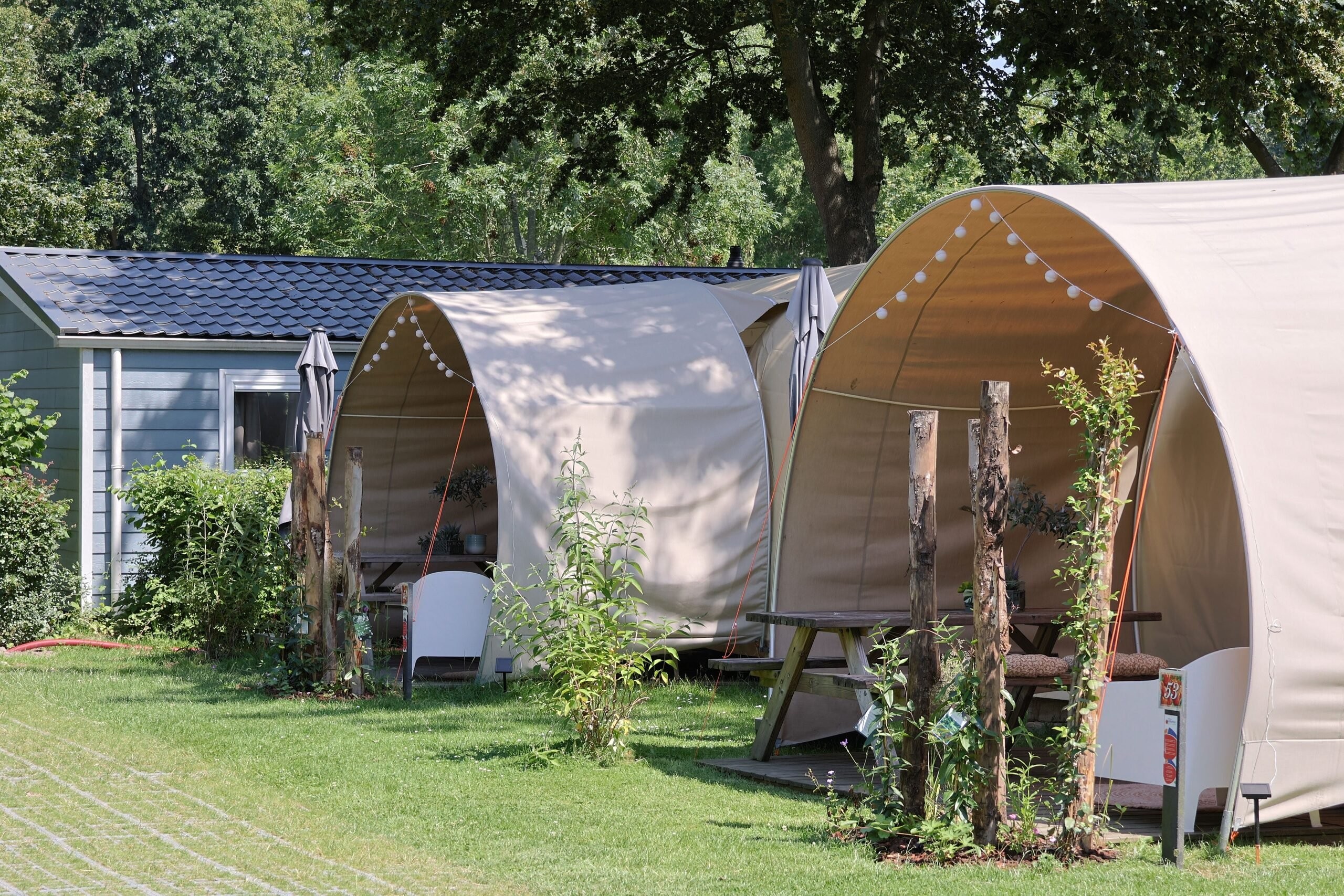 Zomer coco